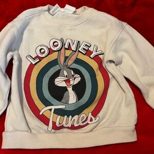 Zara 2-3 toddler sweatshirt